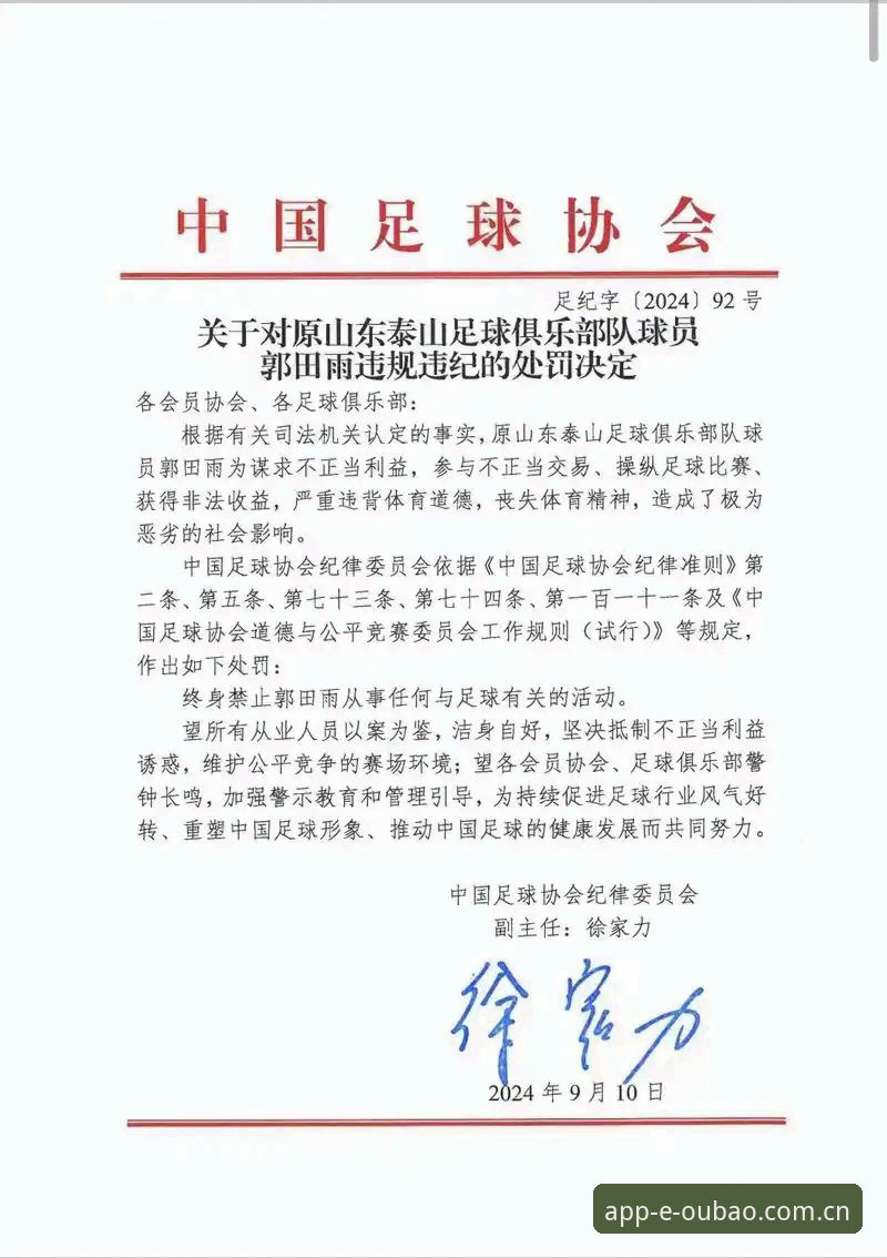欧宝娱乐怎么样 足球行业整顿深度解读:从禁足名单看中国足球新秩序